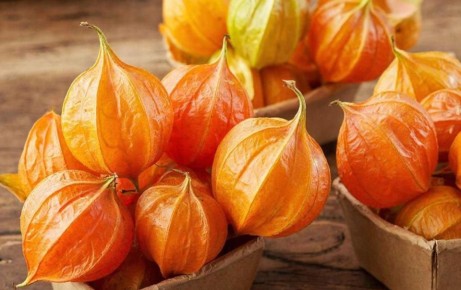 ������� ����������� ��������: ������ ������������� ��������������� ���������