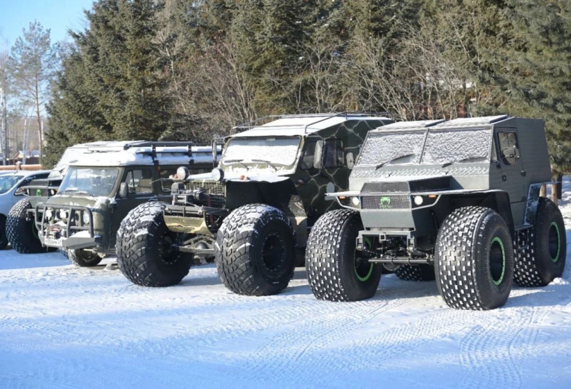 В Хабаровском крае работают четыре бригады по отлову тигров