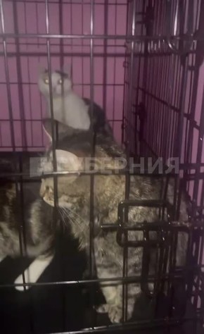 ������� ����� ������� � ����������� ������ ��-�� ������� ����� � ��������