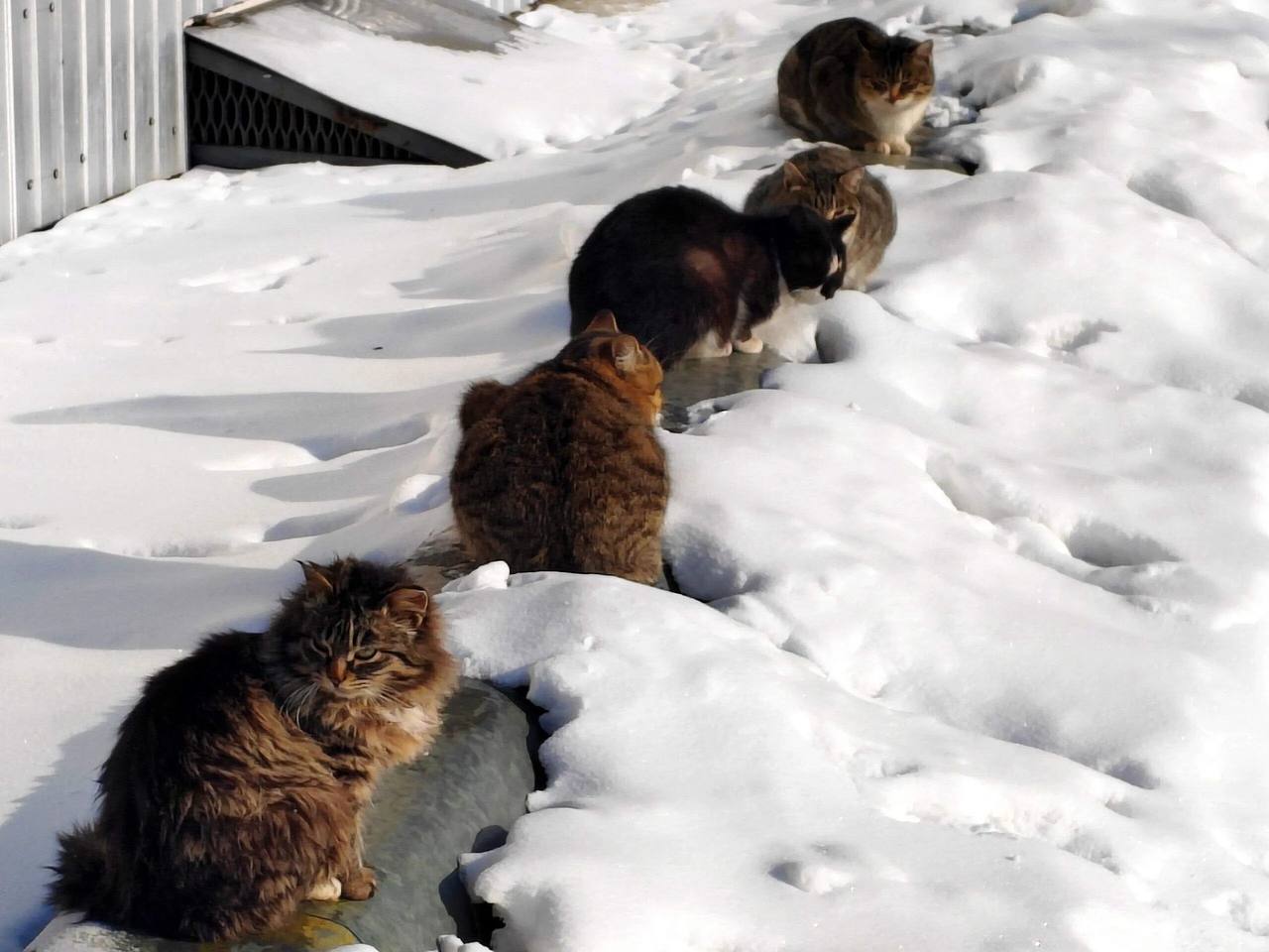 Погода в Хабаровском крае Хабаровск