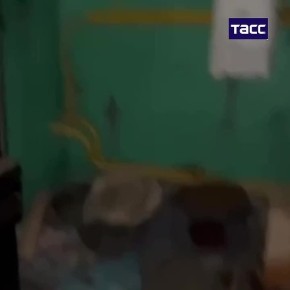 ����� 20 �������� ������� � ���������� ������� ������� ���� � ������ ��� ����� � ����� Kitty House � ����������, ���������� ���� ���������