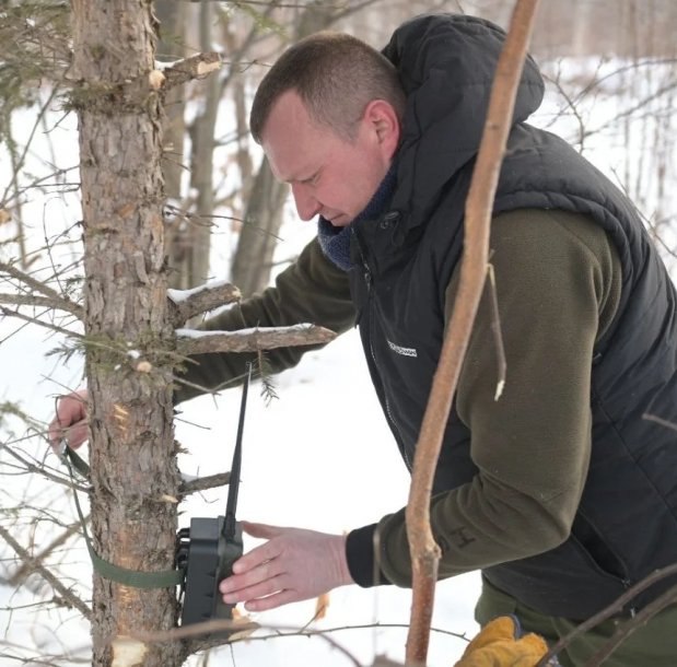 Если с тигром конфликт…. Ловцов хищников в крае стало больше