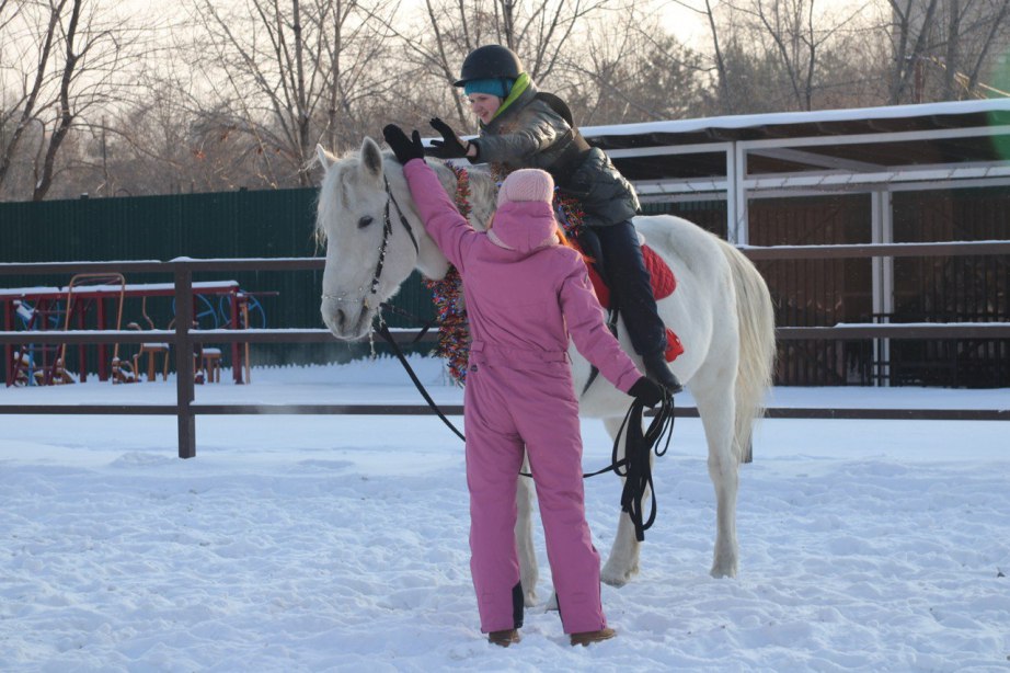 Хабаровская краевая спортивно-адаптивная школа отметила 20-летие Хабаровская краевая спортивно-адаптивная школа отметила 20-летие