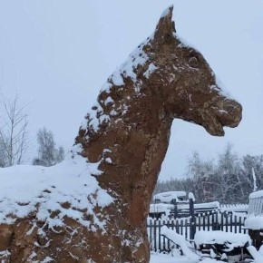 �������� ��������� ������� ������ ���� �� ������