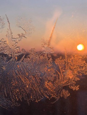 ������ � ����������� ���� ���������