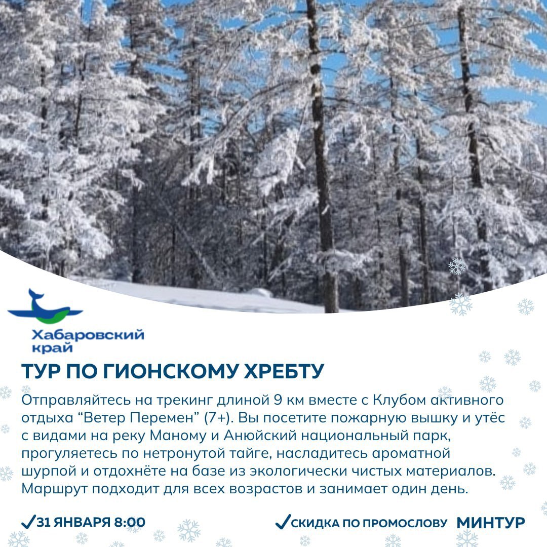 От горных троп до музейных залов: новые активности и экскурсии предлагают партнеры проекта «Отдыхаем в крае»