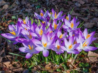 ������������� �������: �����, ������� ����� ������� ������ ���������