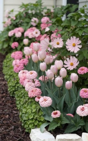 �armony �������� � ����: ��� ������� ����������� ������ ������ �� ���� �����