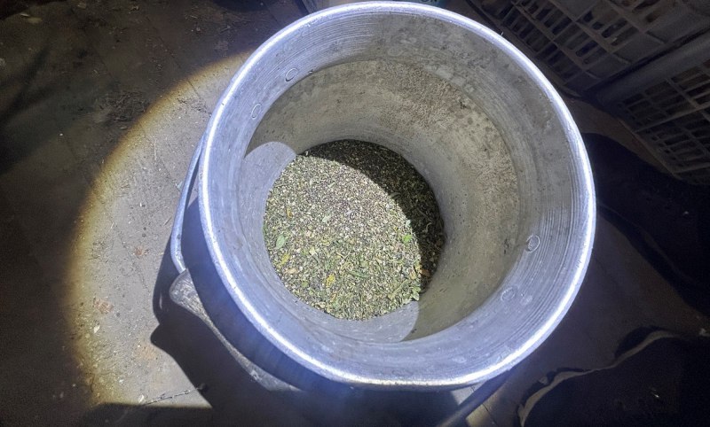 В Вяземском районе полицейскими возбуждено уголовное дело о незаконном хранении наркотиков растительного происхождения В Вяземском районе полицейскими возбуждено уголовное дело о незаконном хранении наркотиков растительного происхождения