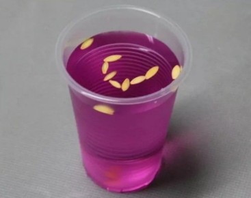 Насколько нужна предпосевная обработка семян и работает ли стимуляция роста на практике