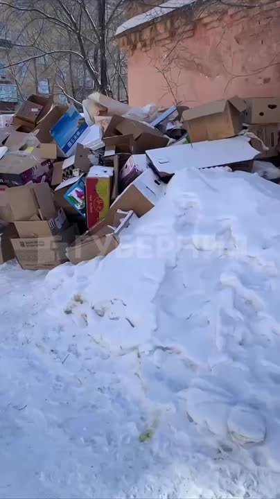Коробками и паллетами обрастает контейнерная площадка в центре Хабаровска Жители одного из домов на улице Шеронова вынуждены ежедневно наблюдать гору коробок рядом с мусорными контейнерами. По их мнению, причина – в...