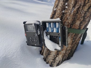 ���������� ������ ������ � ���������������� �����������