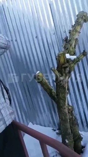 Делать круг до остановки из-за ограждения ТЦ приходится жителям дома на Волочаевской в Хабаровске