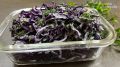 Один салат — три вкуса: как краснокочанная капуста превращается в яркое блюдо