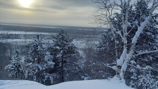 Погода в Хабаровске на февраль 2026 года: что нас ждёт в последний месяц зимы?