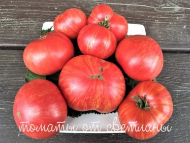 ����� ���� ���-����� �������: ����� ����� � ������������� ��������