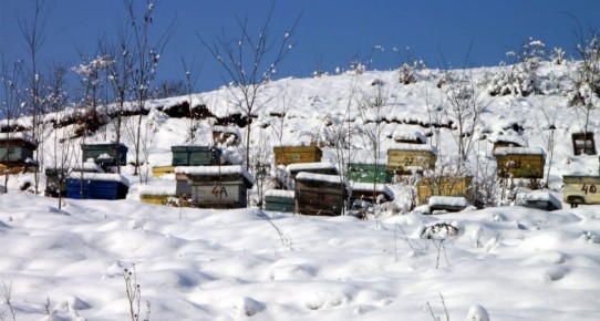 20 ����� � ������� ������� ��� ������ � ������� ����������