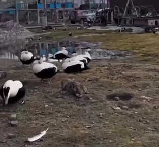 Сегодня день, когда все слушают симфонию звуков СМС о зачислении зарплаты