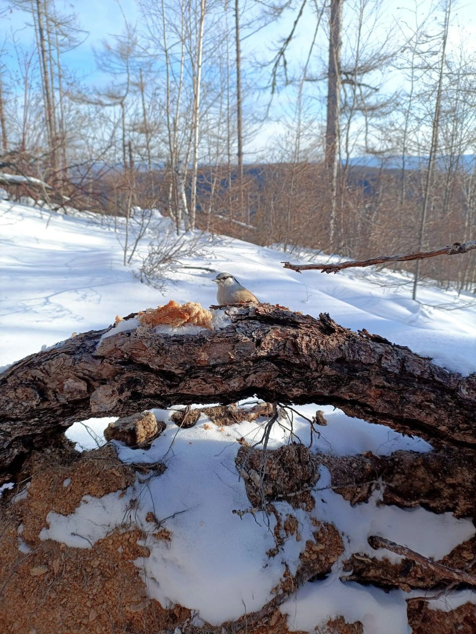 Погода в Хабаровском крае Хабаровск