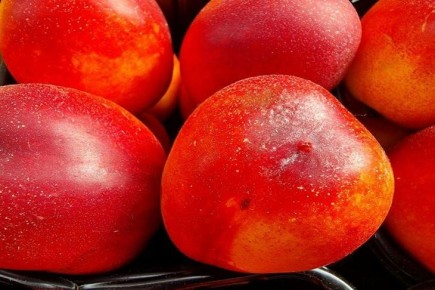 ��� ������� ��������: �������� �������� �� ��� ����