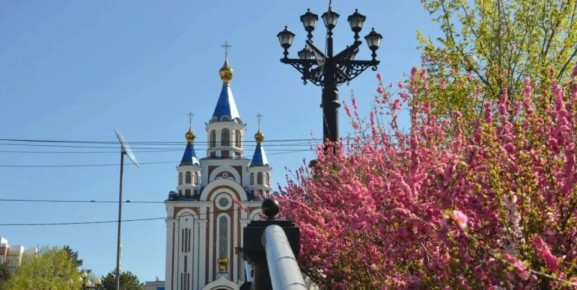 В Хабаровске на прудах весной появится сад сакуры