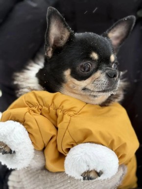 ������ � ����������� ���� ���������