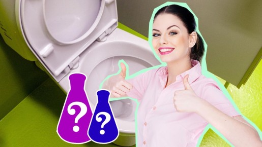 Сэкономьте на таблетках для унитаза: их можно сделать самим из двух компонентов