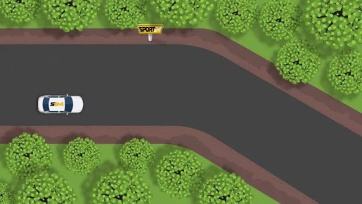 Разрешен ли разворот для водителя белого ТС на этом участке дороги?