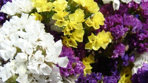 ��� ��������� �������: ������� ������ ��� ������� ��������