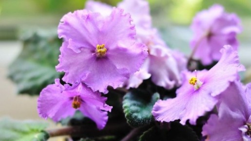 ��� ������� ������ ������ ������ ���: ������ �������� �� 38 �������