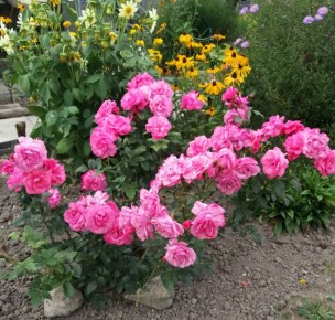 ��� ��������� ���� �����: ������ ��� ���������� � ������� ���������