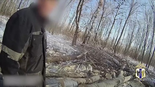 В Вяземском районе полицейские задержали подозреваемых в незаконной рубке лесных насаждений