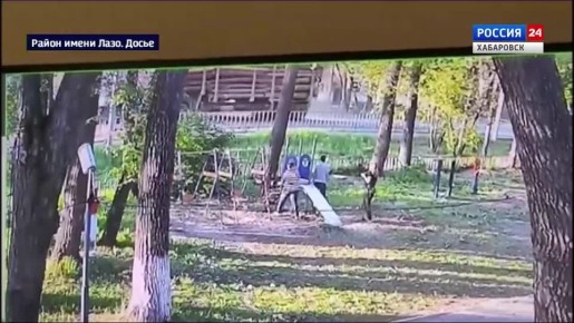 Водитель лесовоза, сбивший троих детей в мае 2025 года, предстанет перед судом