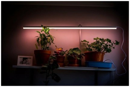 ��� ������, ��� ������ �������� �� ������� �����