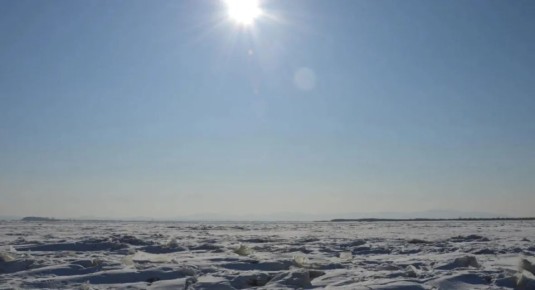 ������������ �� ������ ���������������� ������