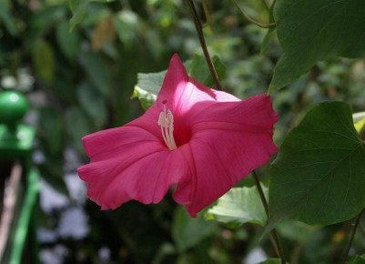 ������������� �����: ��� ����� ����� � �������� �������