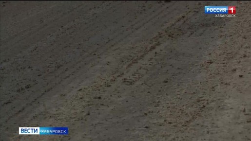 В Хабаровске зафиксировали самую высокую температуру в этом году, однако до весны ещё далеко