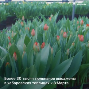 ����� 30 ����� ��������� �������� � ����������� �������� � 8 �����