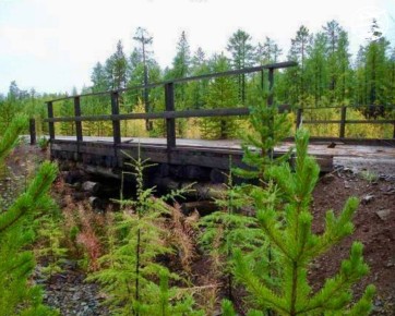 ��� ���� ���� � ����-������� ������ ����� ��������!