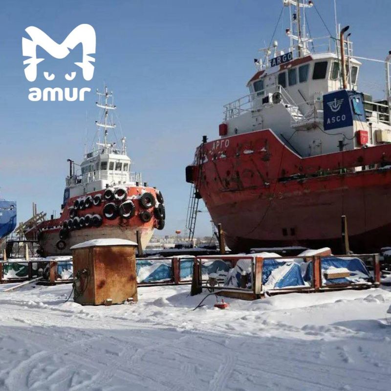 Затон засыпят в Хабаровске ради строительства многоэтажек