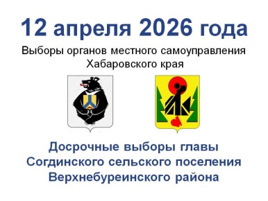 В Хабаровском крае стартовала первая избирательная кампания 2026 года