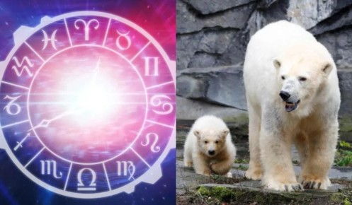 ����� ����������� �������� ������������� ������ ����� �������