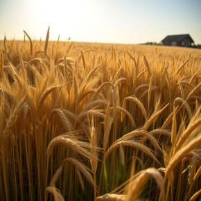 ��� ������ ����� ������������������� ��� ������