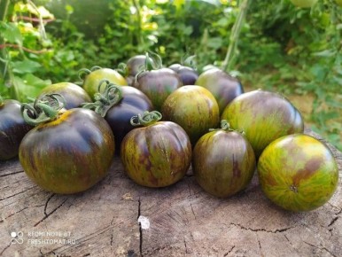 ���������: ����� � ���������� �������� � ������