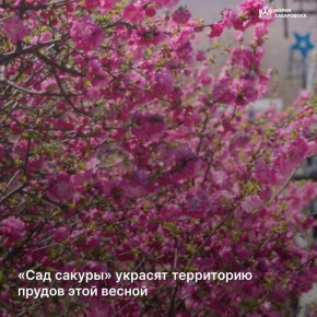 ���� ������� ������� ���������� ������ ���� ������