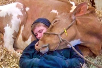 ����������, ������� ���������� ���������� � ������������ �����