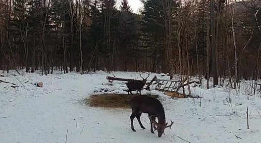 ��-������, ��������� ��������! � ��-������, ���������� �� ��������� �������� � ������ ��������� ����