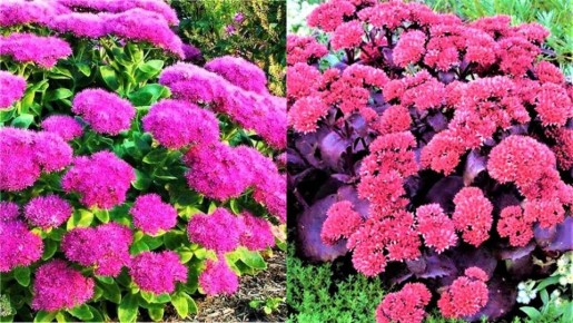 ������ ���� ������ �� ������ � ��� �������� �������� �� ������ � ���� ����