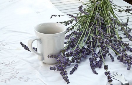 ����� ����������� ����� �������� ���������� ����� �� ��������: ����� ����� ��� �����