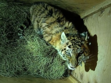 � ����������� ���� � ������ ����� ������������ �������